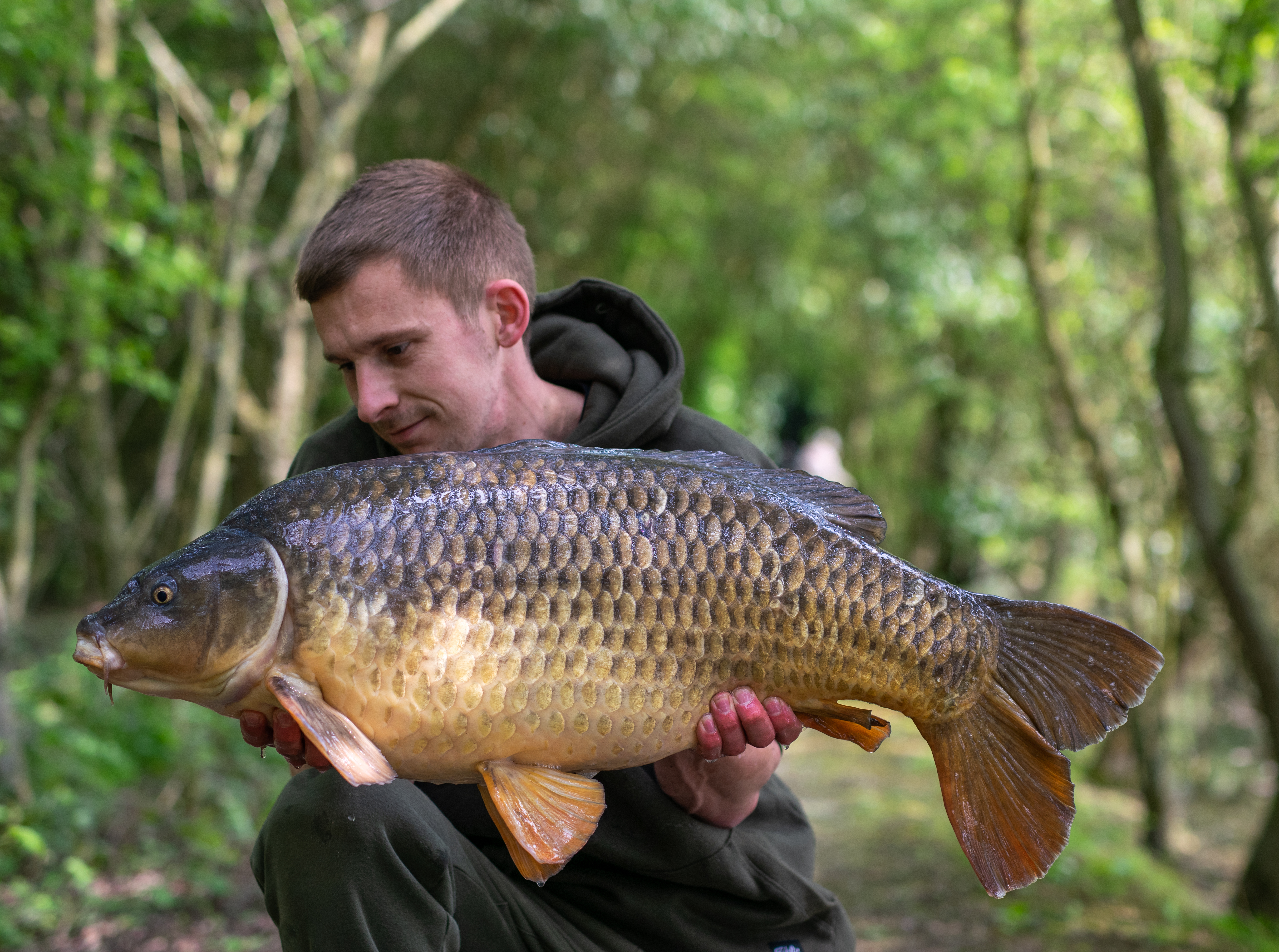 Jack with a Spring Common Carp