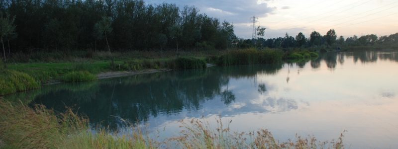 Day Ticket Carp Lakes