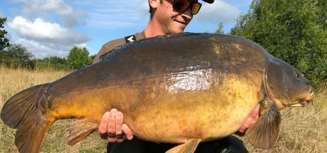 Thames River Carp