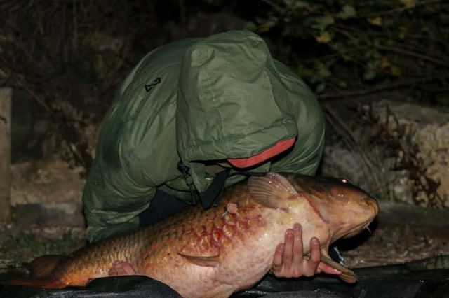 Berners Hall Day Ticket 40lb Common