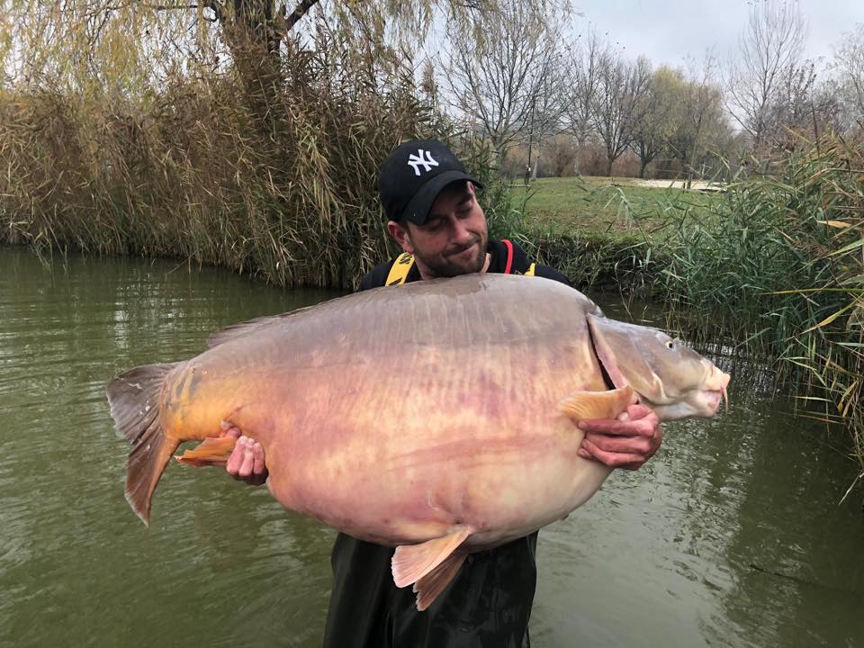 Wrold Record Carp 51.2KG