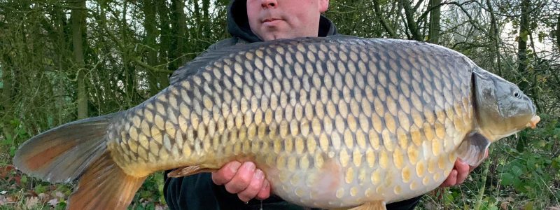 Willows Tree Fishery in Brentwood Essex