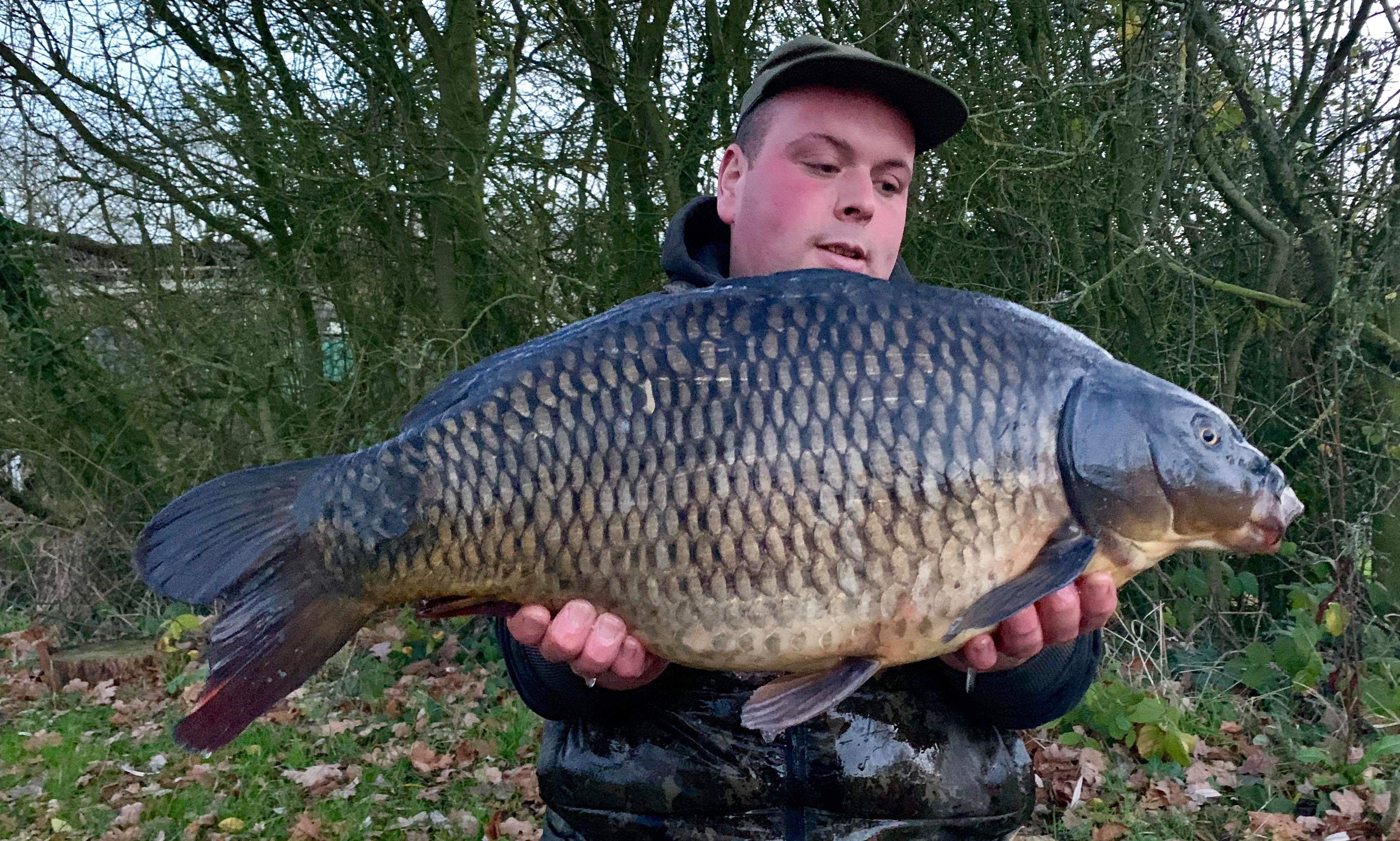 Willow Tree Syndicate 