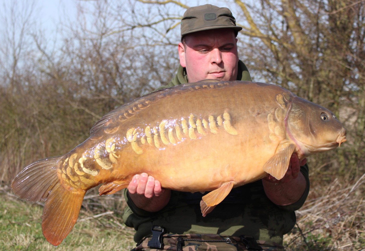 Bayeswater Syndicate Mirror Carp