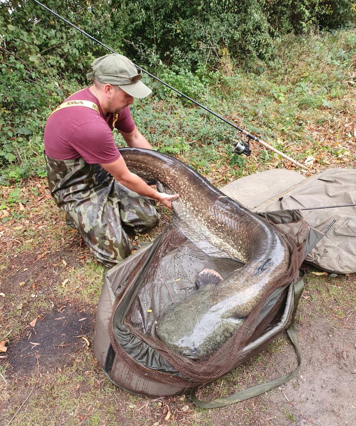 Chigboro Fisheries