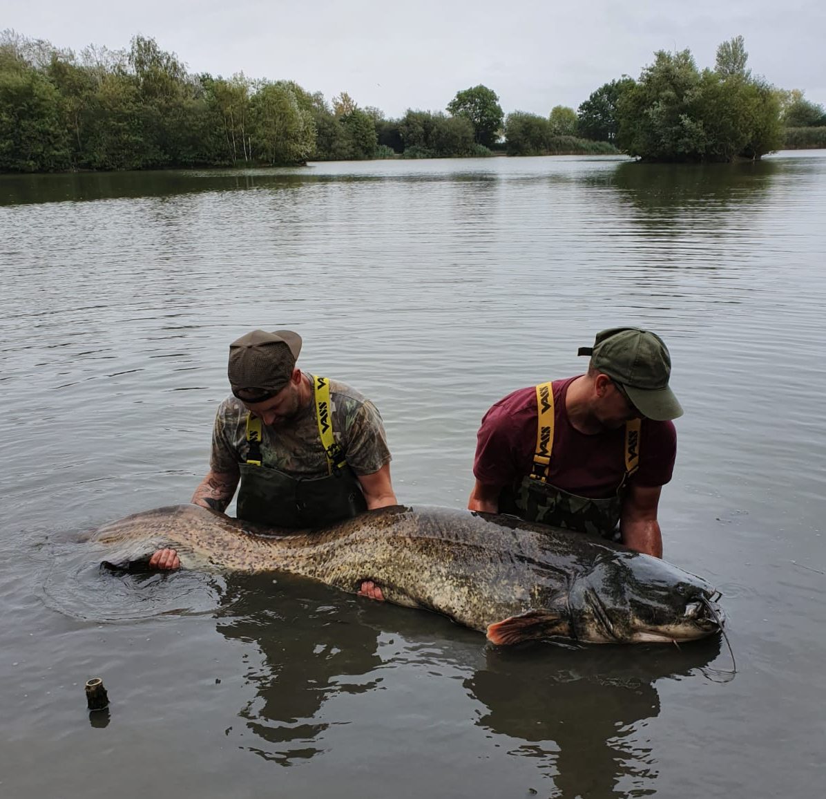 Chigboro Fisheries