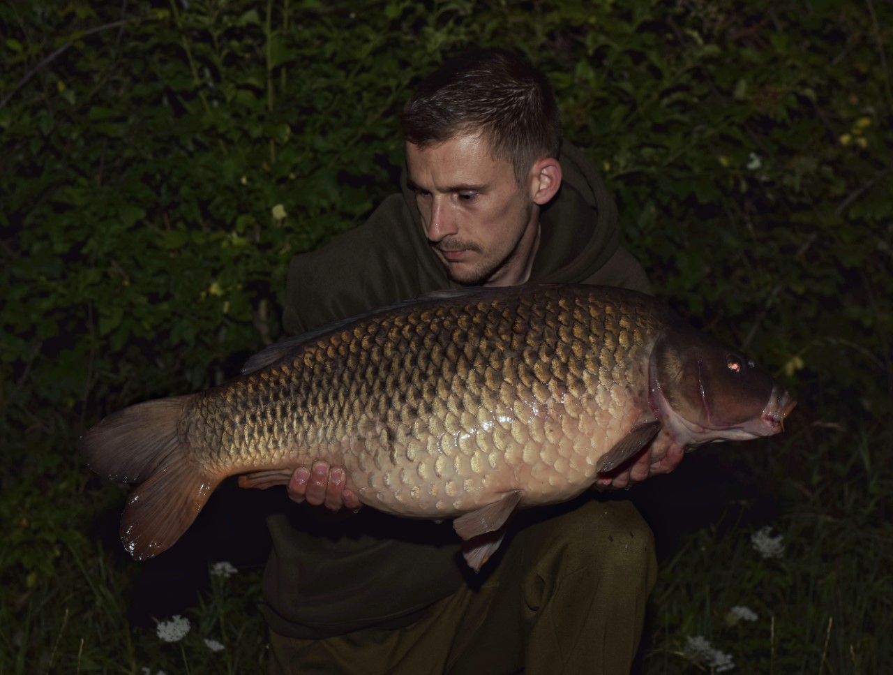 Common Carp