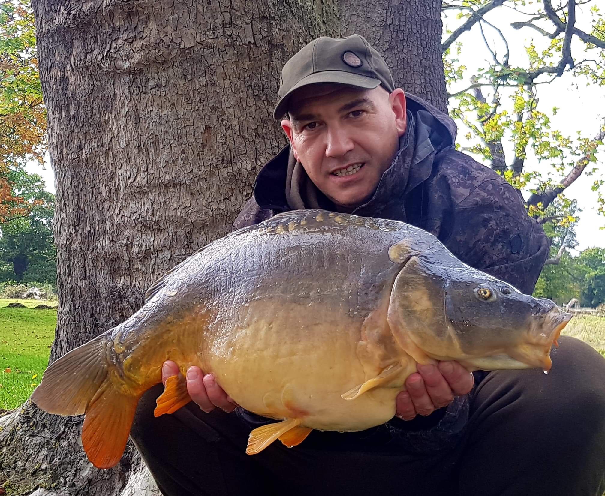 Royal Park Mirror Carp