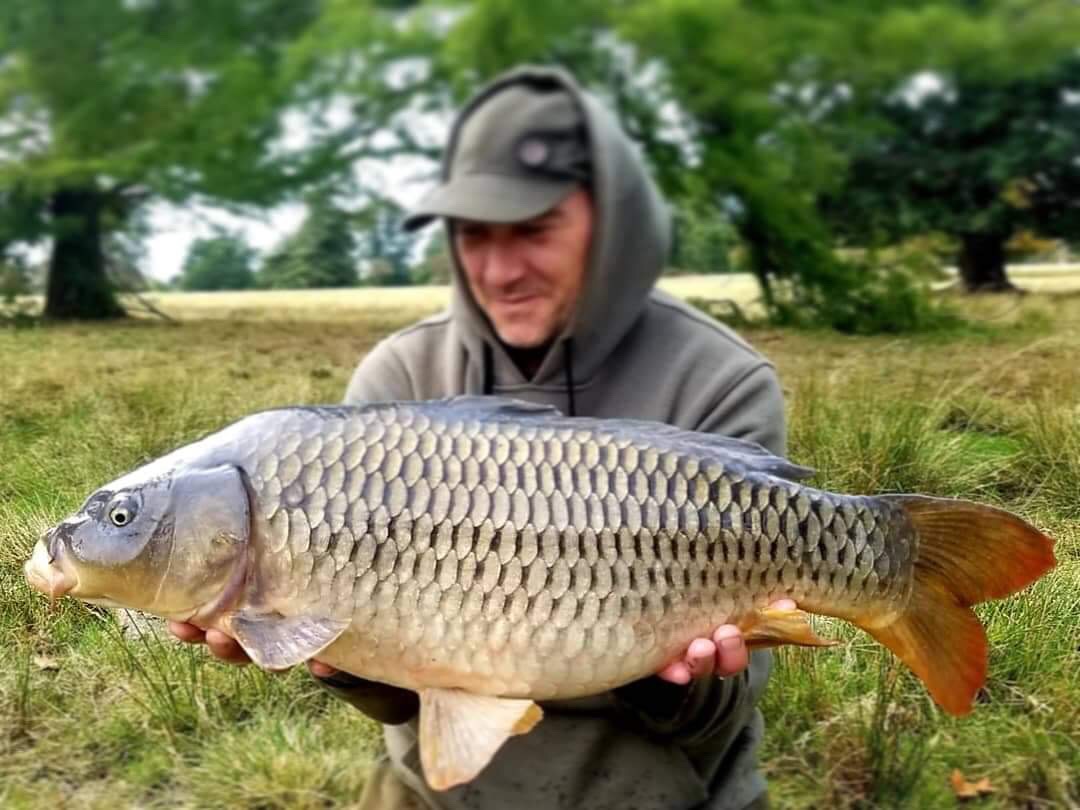 Royal Park Common Carp