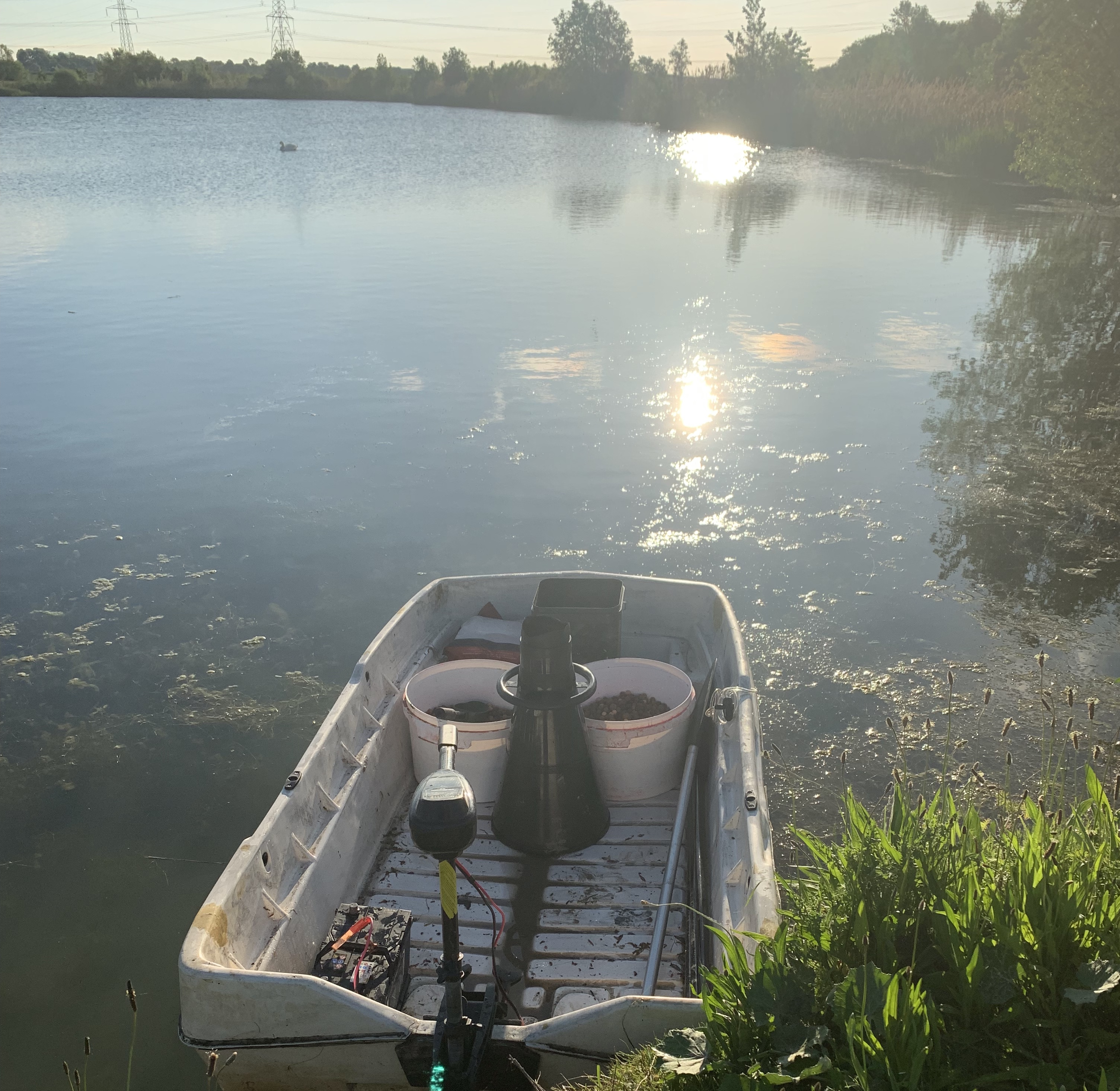 Carp Fishing Essex