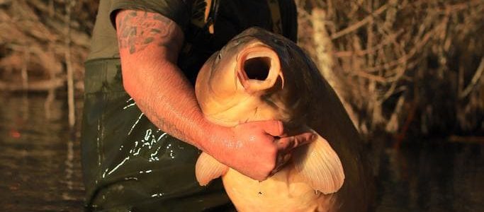 Carp Fishing Holidays