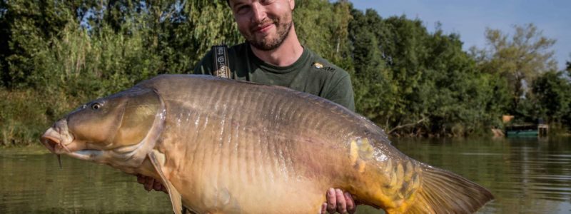 Drive and Survive Carp Fishing in France