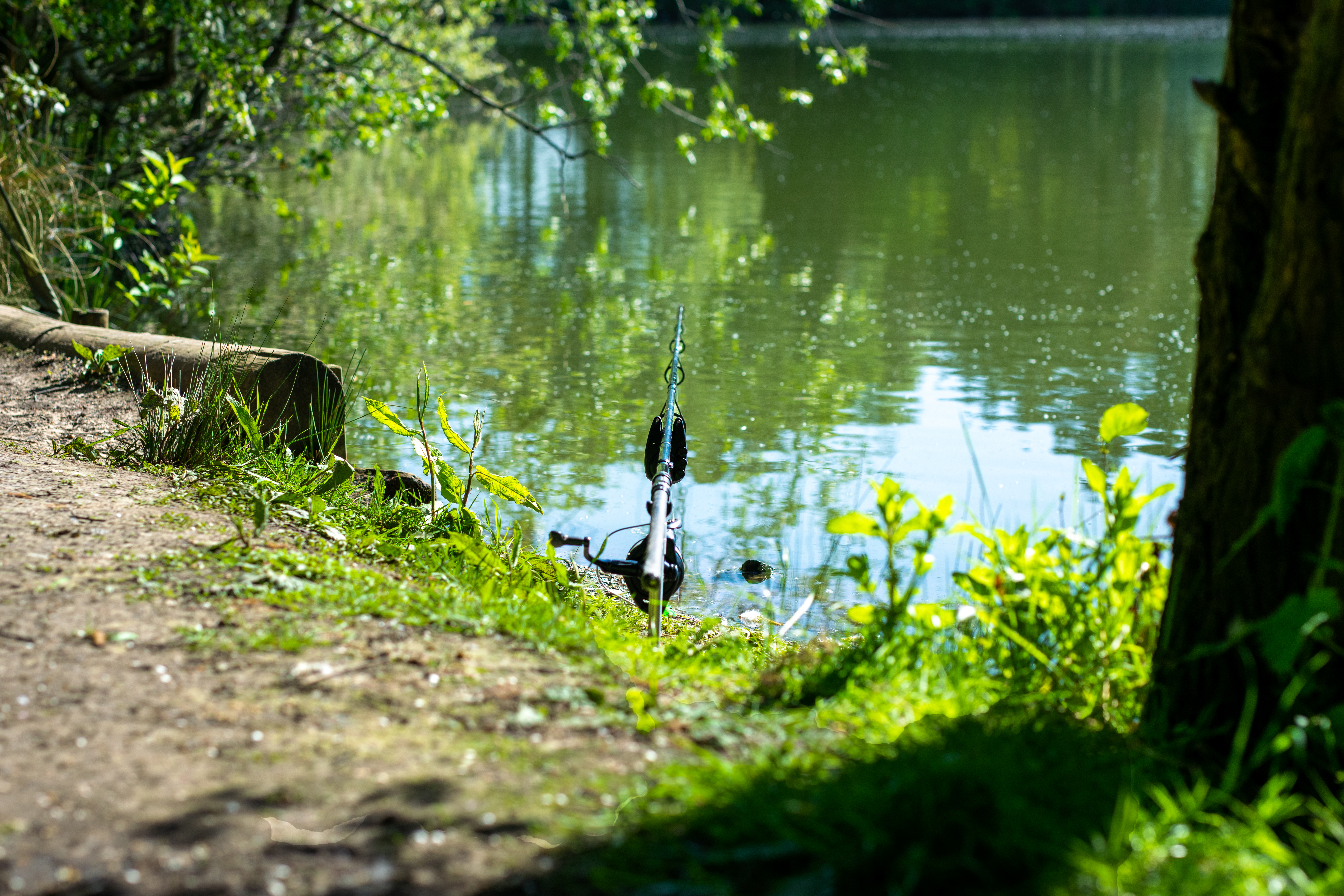 Carp Fishing in Spring