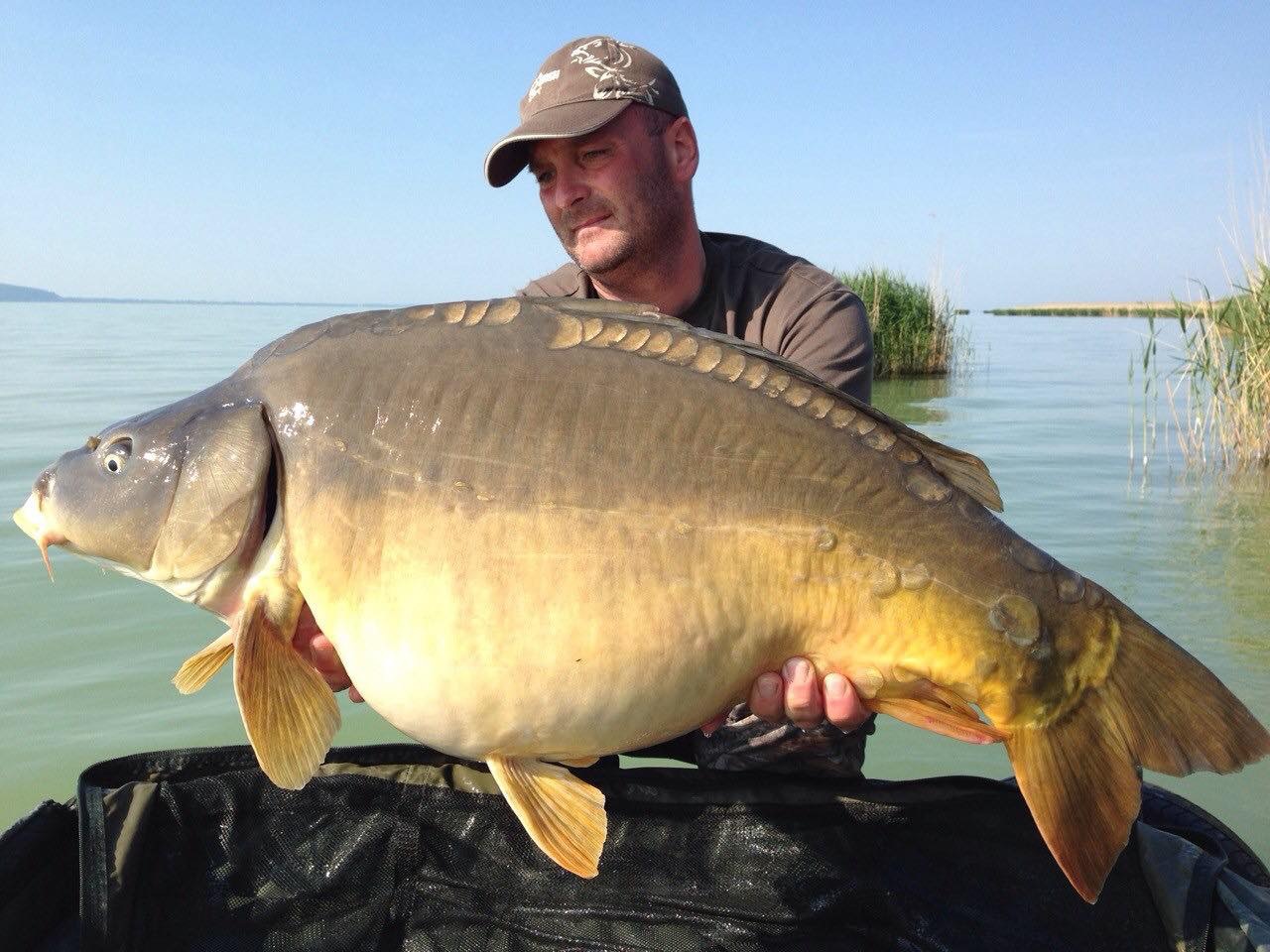 Carp Fishing Lake Balaton