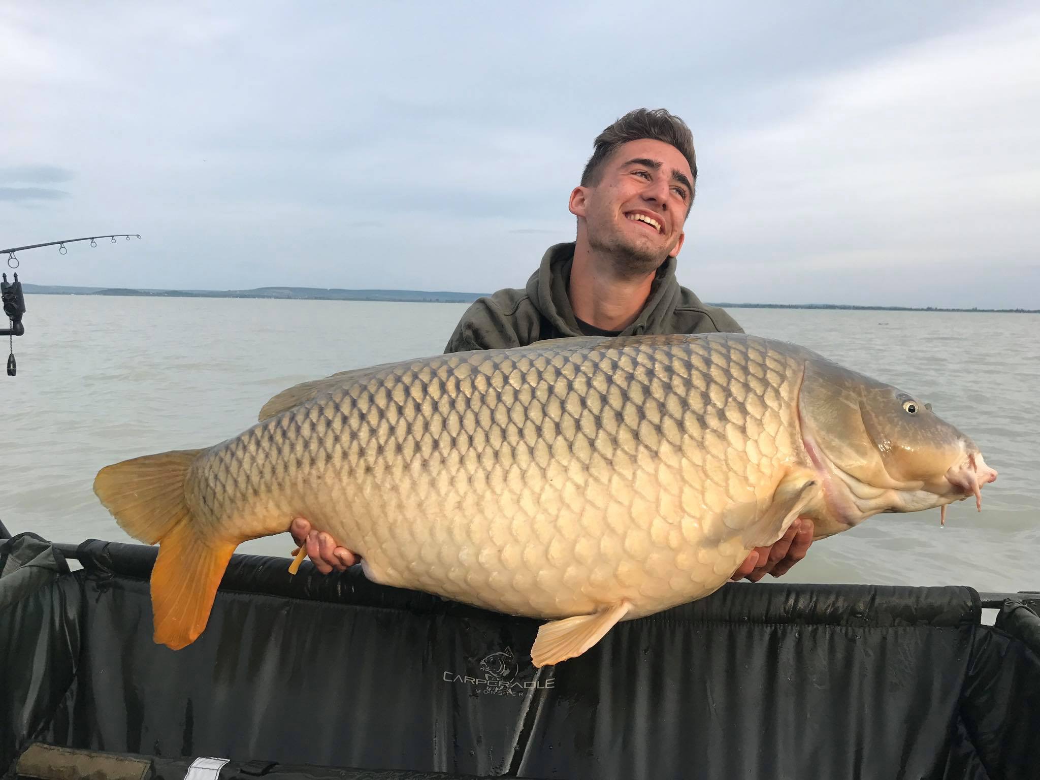 Catch Carp in Hungary