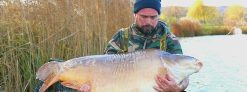 Carp Fishing in Hungary