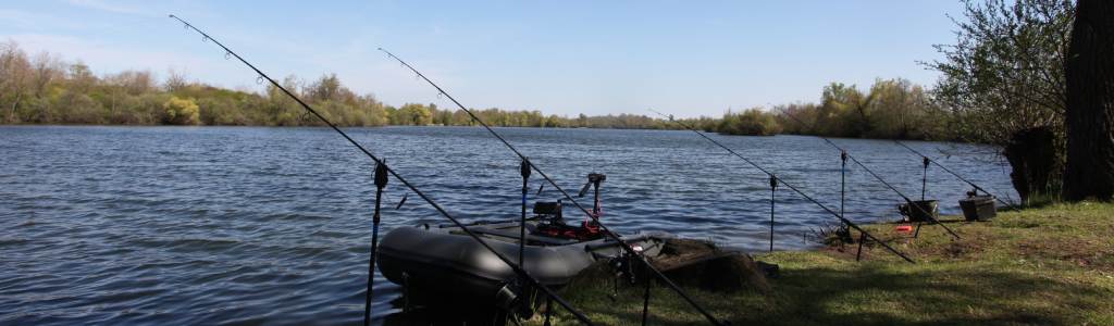 Leon Lake France