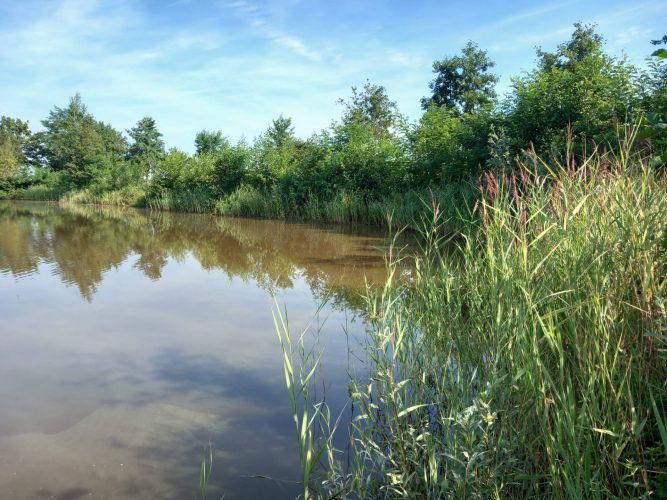 Scenic 1 - Long Lake